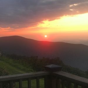 Meet your Posher, Sharon